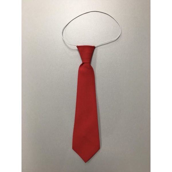 EskimoST-1002_1.jpg Moyles Court School - Plain Red Elastc Tie, Moyles Court School