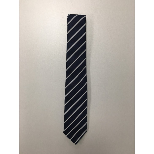EskimoST-463_1.jpg Ringwood Junior School - Tie, Ringwood Junior School